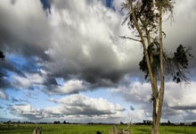 特鲁瓦主场胜利，停止连败