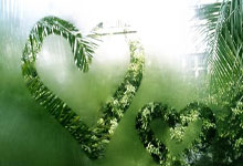 阿联酋球队取得胜利，信心倍增