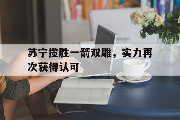 爱游戏在线登录-苏宁揽胜一箭双雕，实力再次获得认可